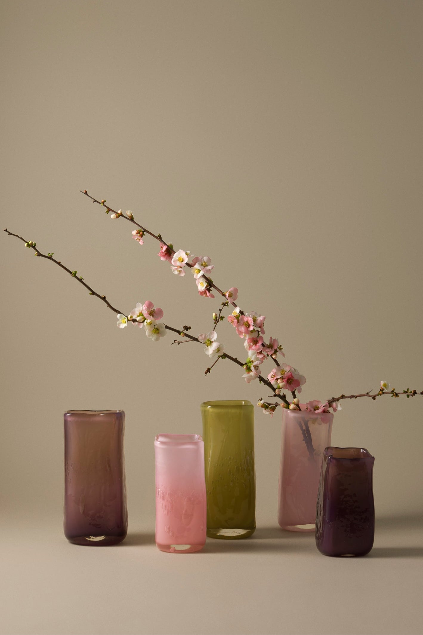 Five glass vases of different colors with a branch with flowers on a plain background